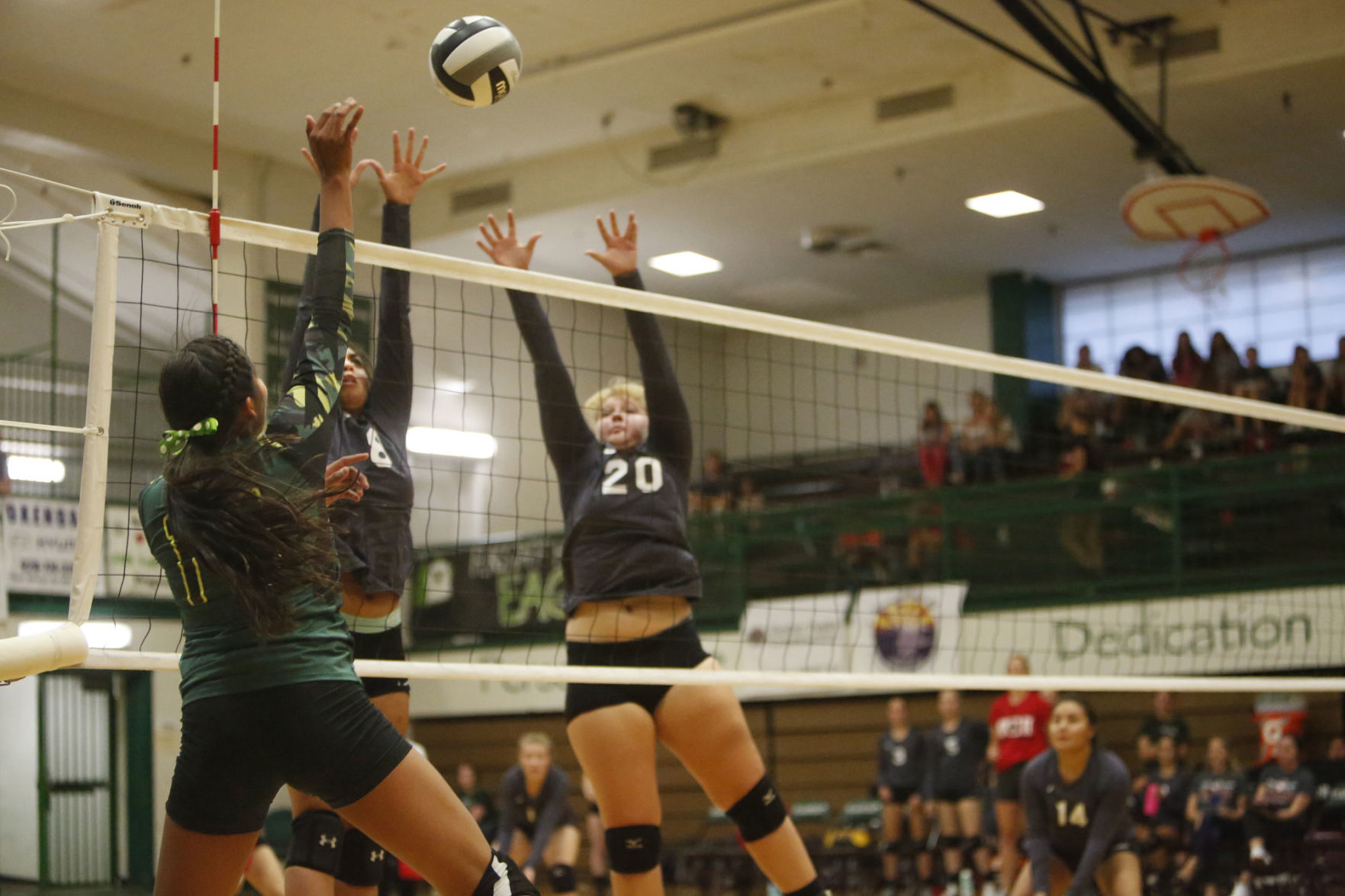 Flagstaff High MIngus Union High Volleyball